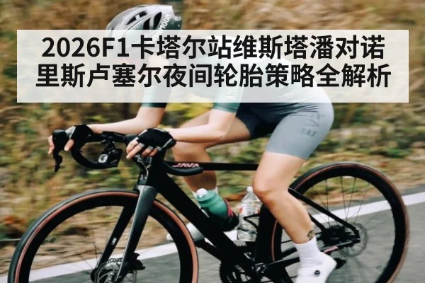 2026F1卡塔尔站维斯塔潘对诺里斯卢塞尔夜间轮胎策略全解析